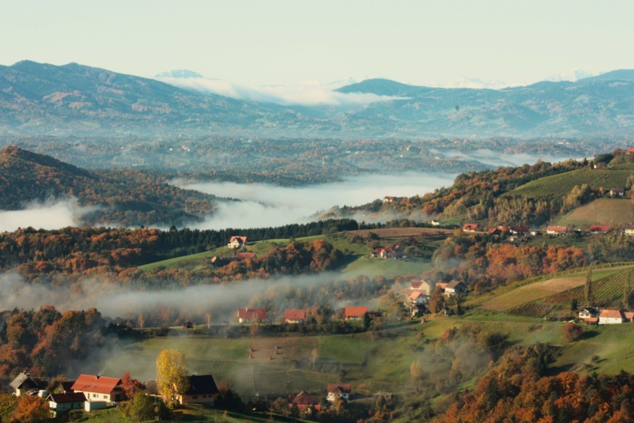 Initiative „NaturVerbunden Steiermark“ – wie ein breites Bündnis Lebensraumvernetzung vorantreibt