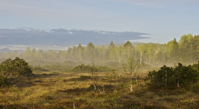 Die Tölzer Moorachse: Synergien der Moorrenaturierung für Klima, Biodiversität und Kulturlandschaft