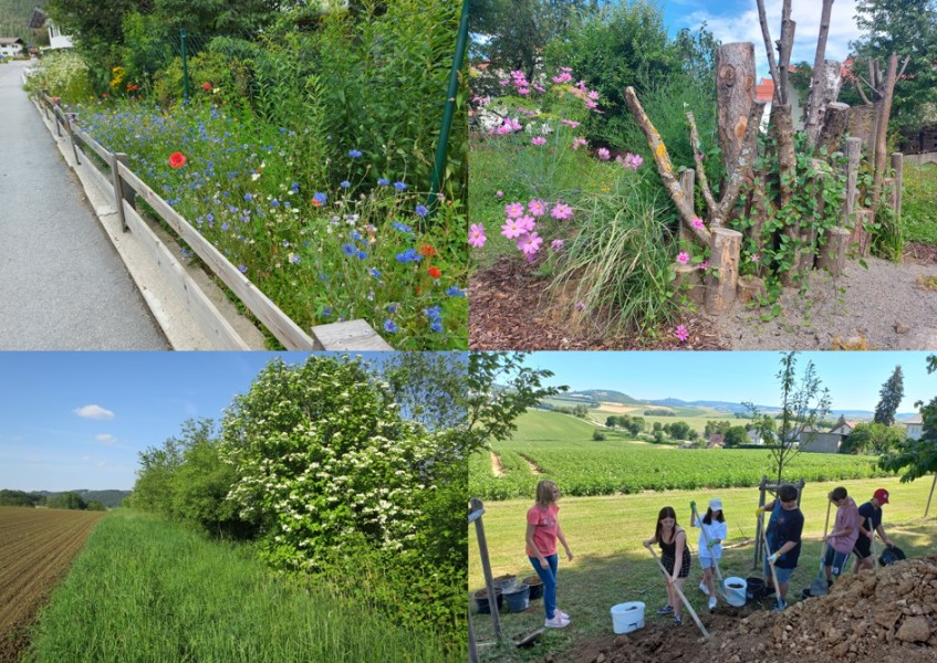 Kleinlebensräume anlegen und pflegen – für mehr Vielfalt in der Landschaft