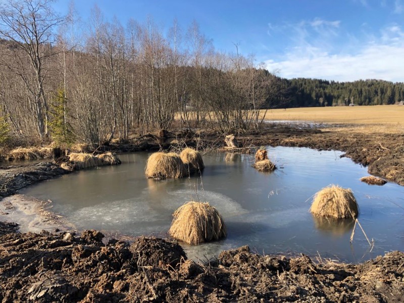 Anlegen von Naturschutztümpeln