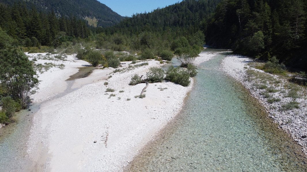 Wilde Vielfalt – Natur im Salza- und Lassingbachtal