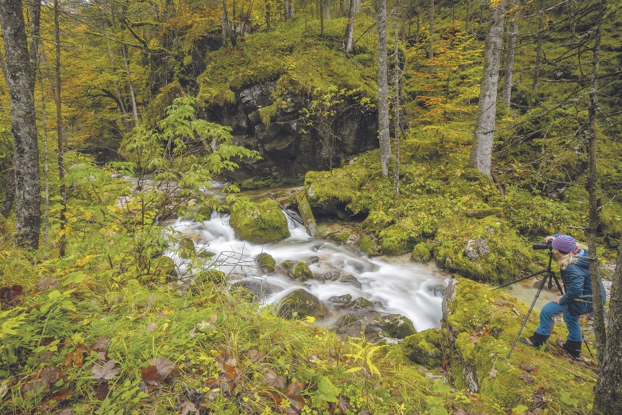 Wildes Wasser – Steiler Fels