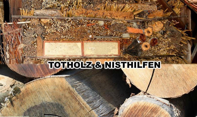 Totholz und Nisthilfen